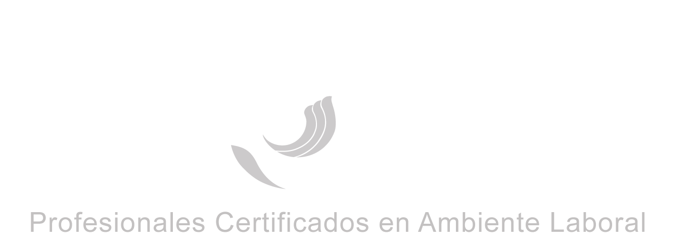 Profesionales Certificados en Ambiente Laboral